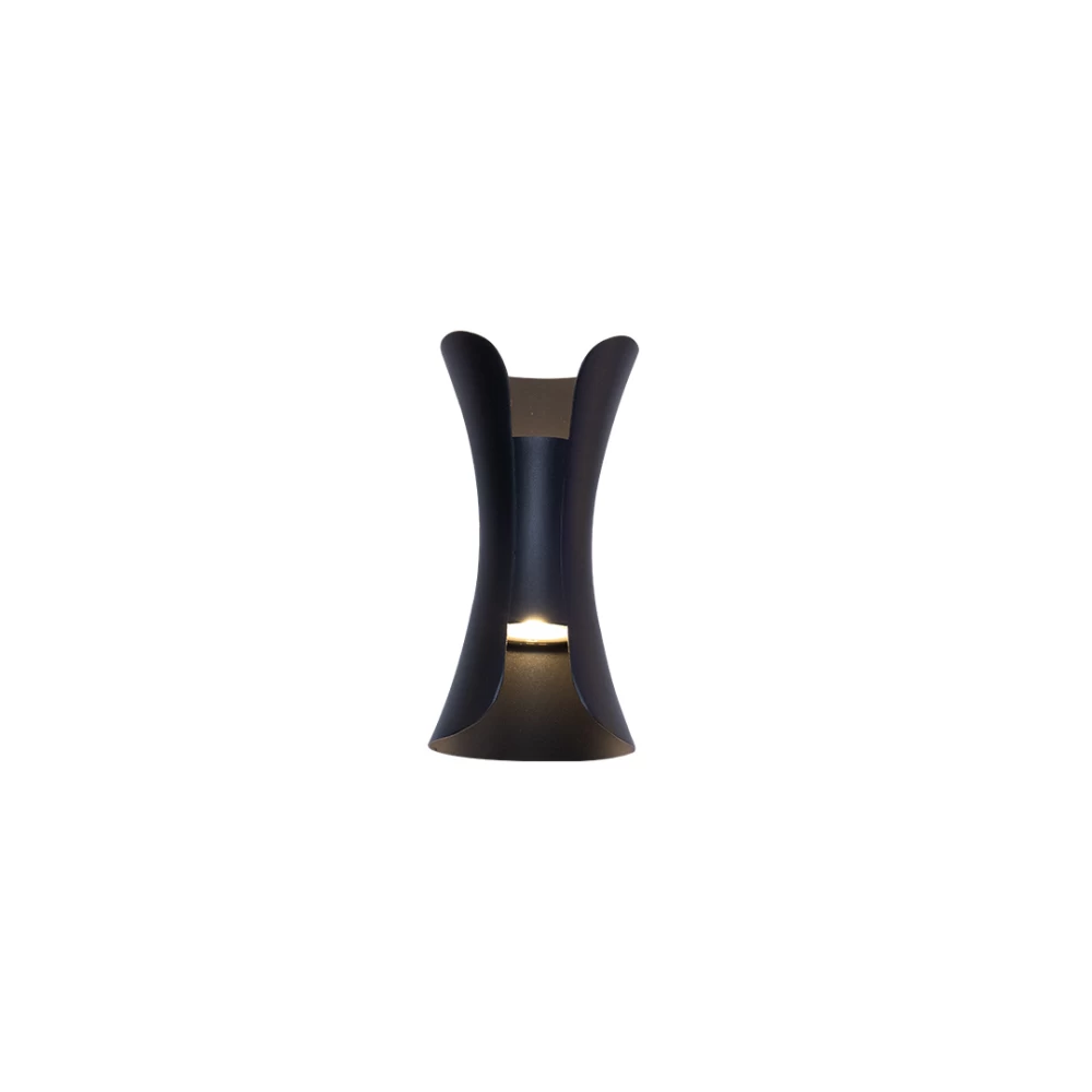29090-Wall Washer Light 10W BK Body WW