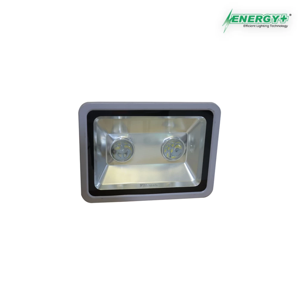 Energy+ 17012-100W Flood Light Lens Type WH/WW