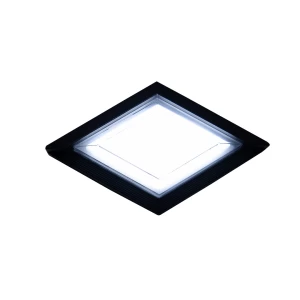 29088-Wall Washer Light 12W BK Body WH