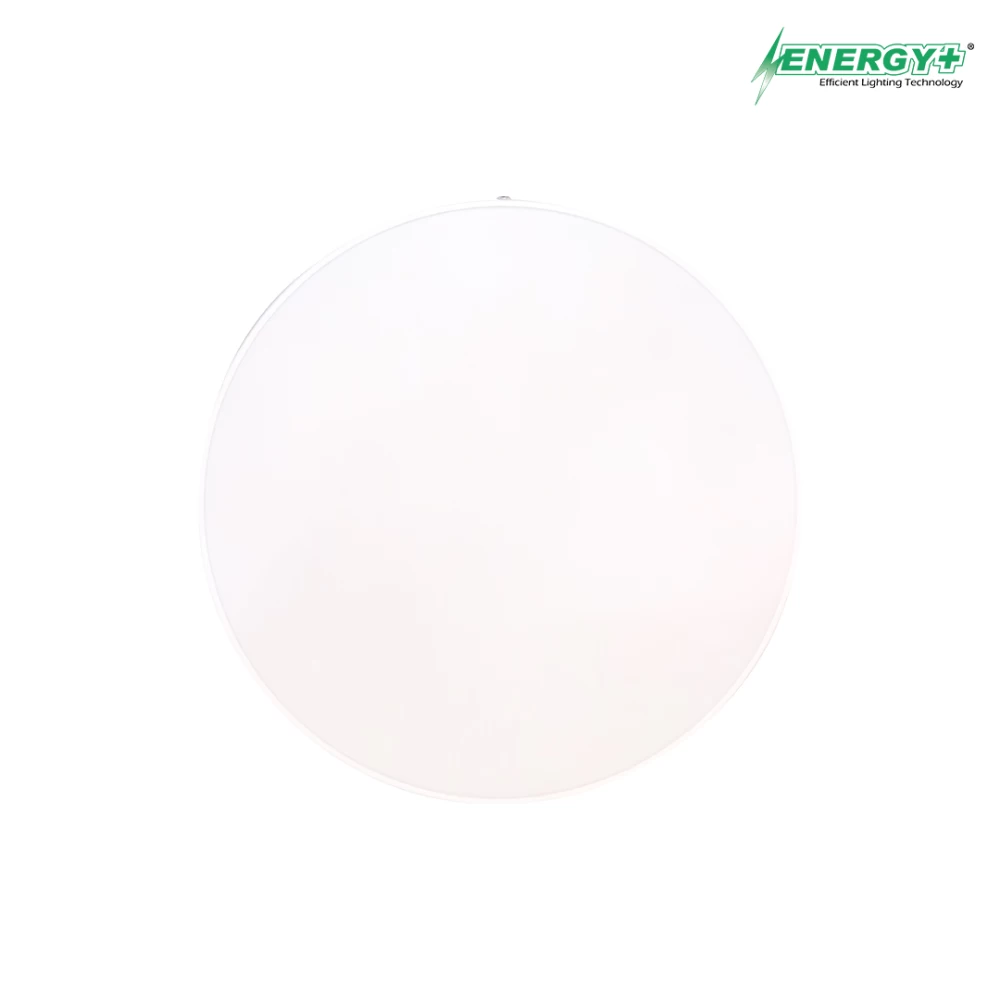 36W LED Thin Surface Panel Light WH/WW
