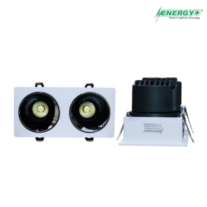 20W Concealed Spot Light WH Body