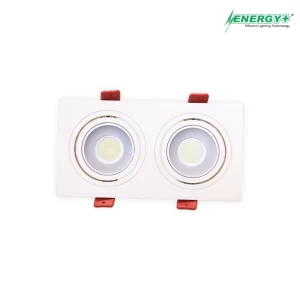 20W Concealed Spot Light WH/WW 2 Point