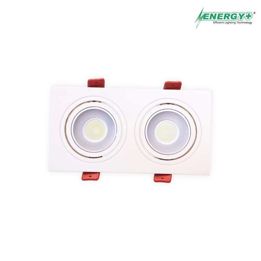 20W Concealed Spot Light WH/WW 2 Point