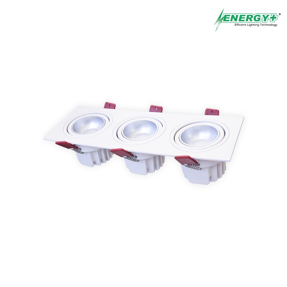 30W Concealed Spot Light WH/WW 3 Point
