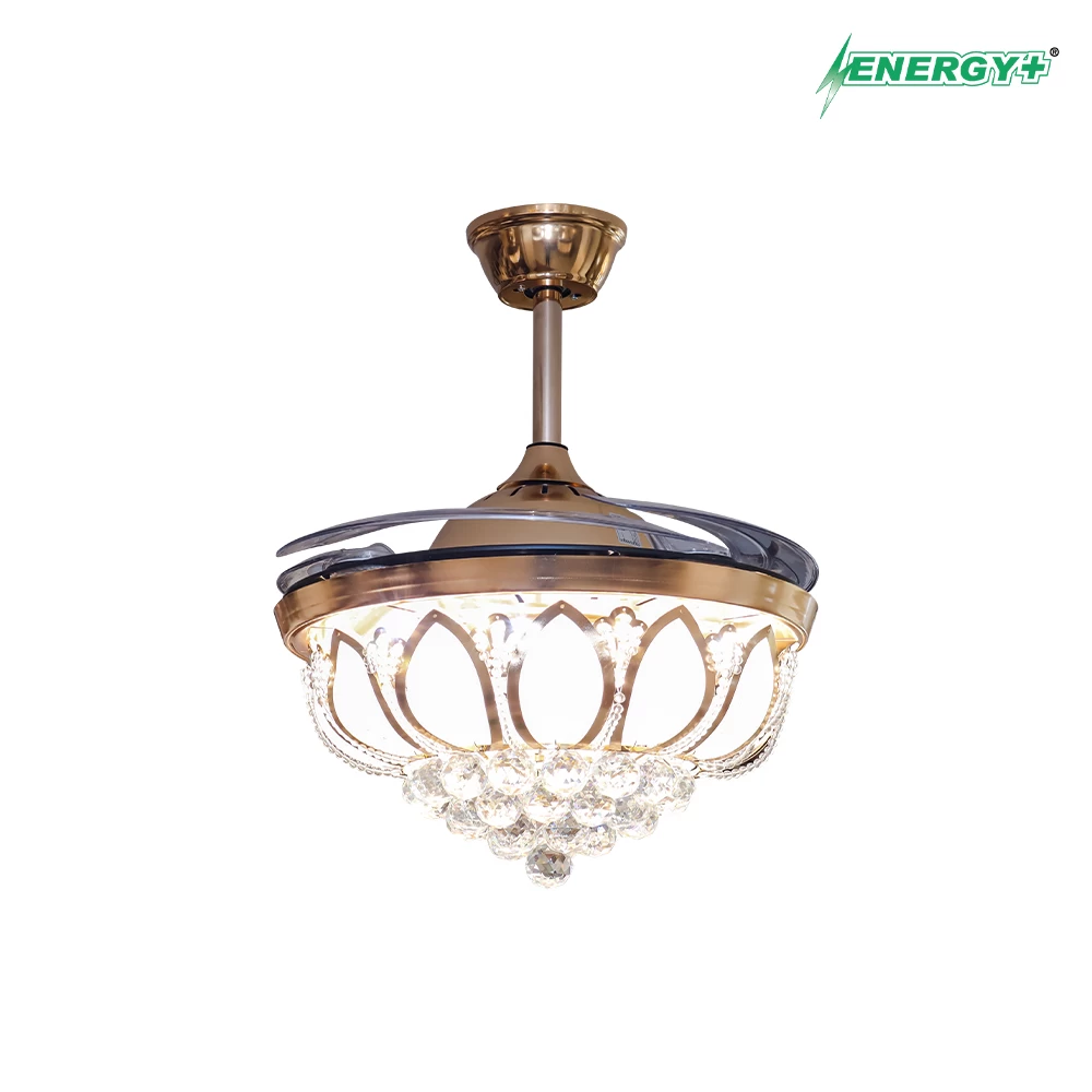 Decorative Fan Decorative Fan