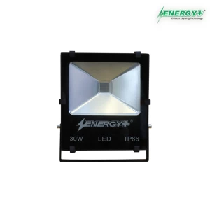 Energy+ 17001-30W Flood Light COB RGB-635