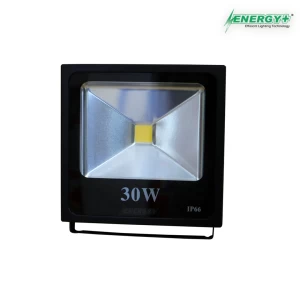 Energy+ 17001-30W Flood Light COB WH/WW-634