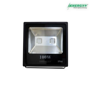 Energy+ 17002-100W Flood Light COB RGB