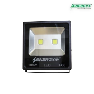 Energy+ 17002-100W Flood Light COB WH/WW/Yellow