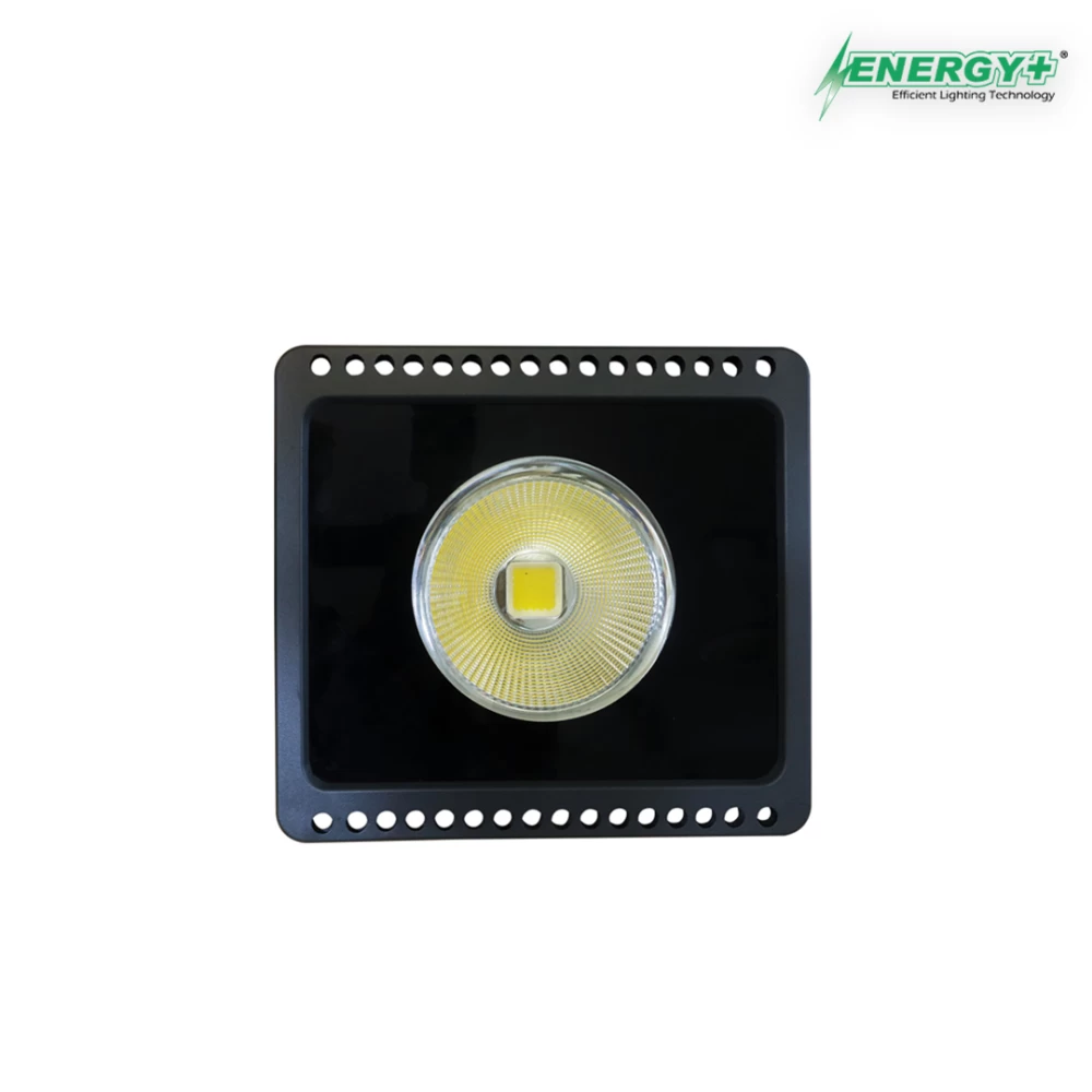 Energy+ 17009-80W Flood Light Beam Type-WH/WW