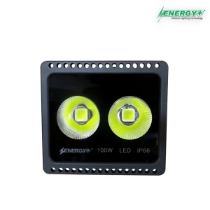 Energy+ 17010-100W Flood Light Beam Type WH/WW
