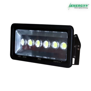 Energy+ 17012-300W Flood Light Lens Type WH/WW