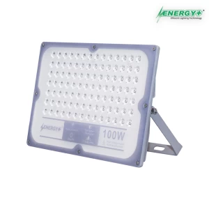 Energy+ 17020-100W ULTRA SMD Flood Light WH/WW