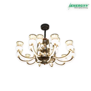 LED Exclusive  Chandelier 15 point