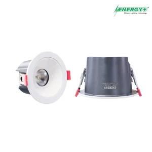 12W Concealed Spot Light WH/WW