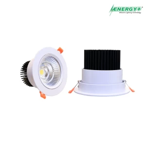 20W Concealed Spot Light WH Body