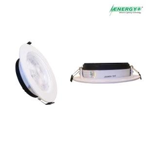 20 Concealed Spot Light WH/WW