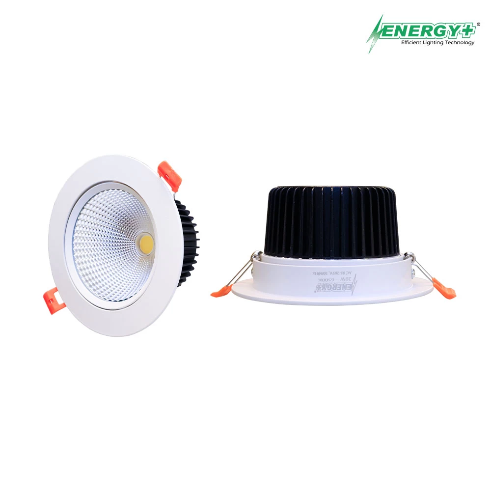20W Conceal Spot Light WH/WW