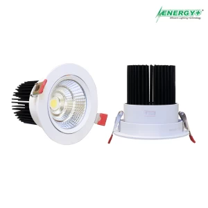 30W Concealed Spot Light WH/WW