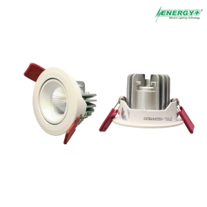 5W Concealed Spot Light WH/WW